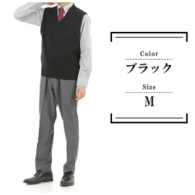 ニット ベスト メンズ Vネック ビジネス 日本製 洗える 無地 ニットベスト 天竺 ウール混 春 秋冬 カジュアル シンプル ベーシック 着回し プルオーバー 家庭洗濯 防寒 保温 重ね着 通勤 M L LL