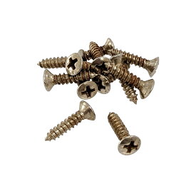 【YJB PARTS】 Relic Screws レリックネジ 【ミリ】Fタイプピックガード用 12本入り 【メール便送料無料 [ar1]