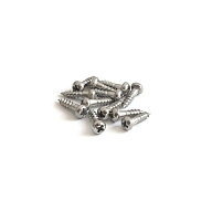 【YJB PARTS】【ギターパーツ】 ペグ・ロッドカバー用ビス ステンレス 12本入り 【国産品】【メール便送…