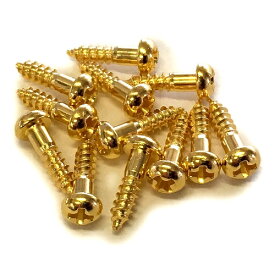 【YJB PARTS】 ペグ・ロッドカバー用ビス ゴールド 12本入り 【メール便対応】 [ar1]