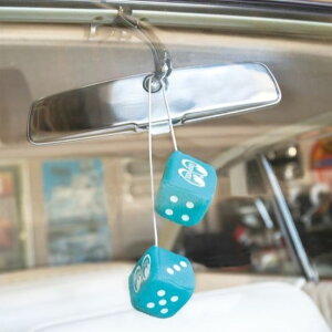 MOON ~j t@W[ _CX [BL u[] / MOONEYES nMO J[ANZT[ AJG