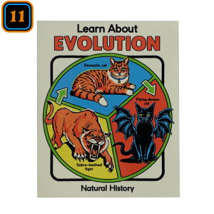 �y���[���։z�X�e�b�J�[ Steven Rhodes-11 [EVOLUTION] / �X�e�B�[�u�����[�Y 70's 80's �_�[�N�t�@���^�W�[ �u���b�N�W���[�N �A�����J���G��