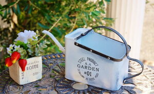 WE W[ p N^O  S uL Jg[G K[fjOG W  g fG  K[fG K[fCeA pi |G azi-azi AWAW 