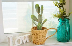 oXPbg ^  |bg }OJbv }O S K[fjOG v^[Jo[ SPICE  Jg[ i` CeAG kG keCXg CeA   