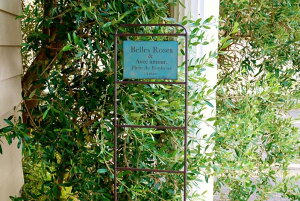 K[fjOG K[fsbN FV TC Ŕ x[[sbN BL  g i`K[f t` Jg[ CeA  uL 䂤 |sbN G u  