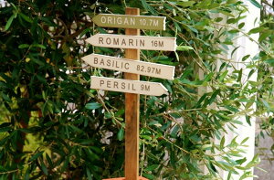 K[fjOG K[fsbN FV K[fTC ؐŔ IKsbN g Jg[G K[fCeAG  䂤 |TC Ŕ u  