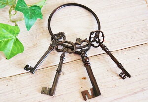 L[O  I[hL[ Ǐ  AeB[NL[ CeAG g ݂艺 fBXvCG Ǌ| ͑L[ u  a kG RxgK[f ~j`