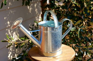 W[ WE g p V[W[ 1.65L Vo[bL V[WE uL W K[fjOG Vv i`G Jg[K[fG |G 