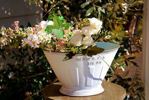 K[fjOG v^[|bg FV 䂤 g AeB[N v^[oXPbg W  Aؔ v^[oPc uL Jg[G Vv K[fCeA K[f