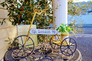 K[fjOG v^[bN FV O֎ hF Y Aؔ v^[|bg v^[X^h Jg[G K[fG |G fBXvC TCN|bg ԑ 