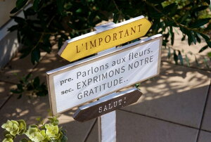 K[fjOG K[fsbN FV K[fTC ؐŔ A|^sbN Y g Jg[G K[fCeAG  䂤 |TC Ŕ u  