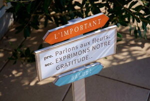 K[fjOG K[fsbN FV K[fTC ؐŔ A|^sbN OR g Jg[G K[fCeAG  䂤 |TC Ŕ u  