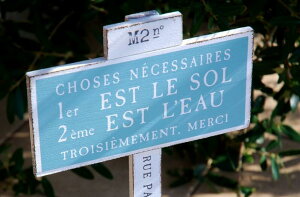 K[fjOG K[fsbN FV TC Ŕ V[YsbN M zCg g i` t` Jg[ K[fCeA  䂤 u    A