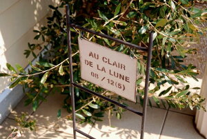 K[fjOG K[fsbN FV TC Ŕ x[sbN g i`K[f t` Jg[G CeAG  uL 䂤 |sbN u 