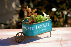 K[fjOG v^[|bg FV o[gJ[gGR O[  g v^[J[g uL Aؔ 䂤  t[J[g Jg[G K[fCe