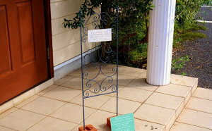 K[fjOG K[fsbN e[kO tFX DBL ACA gX 傫 FV g TC Ŕ Jg[G CeA |G  䂤 u  