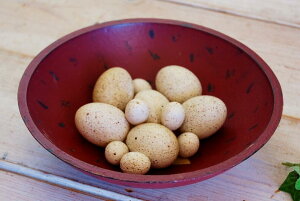 AgXe  n[g {E  Eggs 12 Zbg ŕi A[ AJ Jg[ CeA G  I[h AeB[N g IuWF fBXvC NVbN  