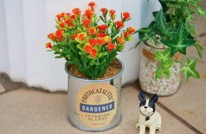 K[fjOG tFCNO[ tFCNvc Vr[ TIN O[ fCW[ qie  CeAG IuWF u Jg[G G} i`G  G