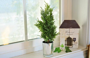 NX}X G RxgK[f JvX|bgc[ NX}Xc[ kG kNX}X NX}Xu Jg[G CeAG K[fjOG NX