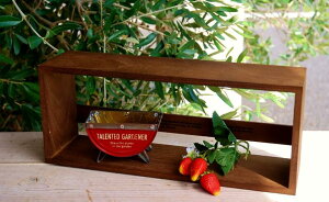 K[fjOG VFt  EH[VFt I _[NuE {bNX No2 u Ǌ| i`G Jg[G CeAG y gC[ gCbgy