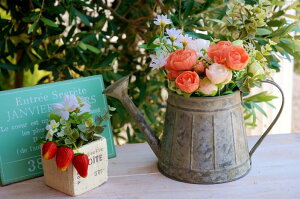 K[fjOG v^[|bg v^[Jbv W[|bgJo[ Aؔ v^[Jo[ K[fG g v^[  A؃|bg AJ Jg[G C