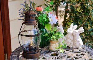 LED^ AeB[N g 22643 AJ Jg[G K[fG  ݂艺  CeAG K[fjOG Vv  킢   L