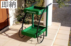 �K�[�f�j���O�G�� �E�b�f���J�[�g �O���[�� �傫�� �K�[�f���J�[�g azi-azi ���g�� �t�����[�J�[�g �K�[�f���G�� ����� �K�[�f�����b�N �v�����^�[���b�N �v�����^�[�J�[�g �v�����^�[�X�^