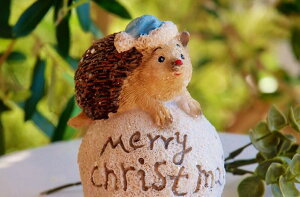 K[fjOG NX}XG wbWtHbO nlY~ ͂˂ kG NX}X NX}Xu t` Jg[G CeAG    K[f