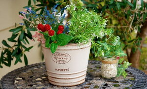 K[fjOG v^[|bg FV 䂤 g vg[T[N MW zCg  Aؔ v^[Jbv uL Jg[G Vv K[fCeA K[f