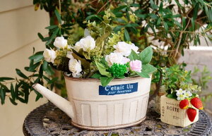 K[fjOG v^[|bg FV 䂤 g ZeBAChW[ W zCg Aؔ uL Jg[G Vv K[fCeA K[fG TIN  v