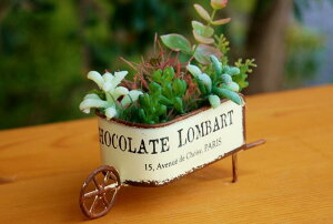 K[fjOG v^[|bg FV o[gJ[gW zCg  g v^[J[g uL Aؔ 䂤  t[J[g Jg[G K[fCe