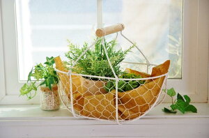 oXPbg Jg[ C[oXPbg nh L zCg  [ C[  t  i` G kG CeA Vv g y K[fj