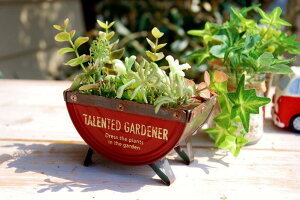 K[fjOG v^[|bg ~jZ~T[Nv^[ uL v^[Jbv u g i` AJJg[G ϗtA A  K[fG IuW