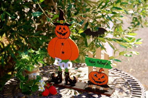 K[fjOG  nEB LEDCg tYTC 傫 ؐTC CgX^h ؐŔ u Jg[G CeAG HG ~j`A i` nEB[ 