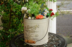 K[fjOG v^[|bg 傫 n[oEoPc LTCY Aؔ v^[Jbv uL v^[oPc g AeB[N i` AJJg[ ϗtA