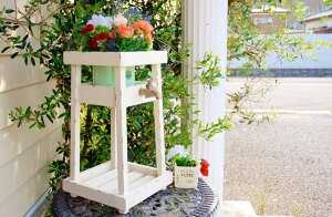 K[fjOG v^[bN ֌v^[ zCg  v^[X^h t[X^h Aؑ ԑ K[fG K[fIuWF Jg[G CeAG | 