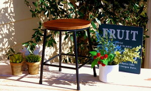 K[fjOG v^[X^h FV v^[bN ԑ BGC`FA[ S K[fCeAG fBXvC VFt K[fX^h ACA `FA[ 䂤 K