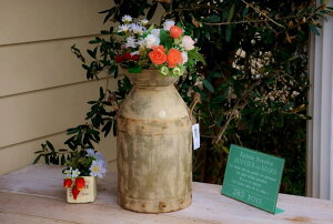 K[fjOG ~N g K[fG S Jg[G IuWF Jg[G CeAG t[|bg  u  ԕr   AeB[