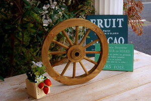 K[fjOG ԗ ؐ S 30cm K[fIuWF K[fG u g zC[ _[NuE AJ Jg[G K[fCeAG   |G 