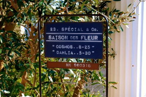 K[fjOG K[fsbN K[fG FV v[gTC Zj[sbN BL  g uLTC Jg[G  uLŔ AeB[N 䂤 u  