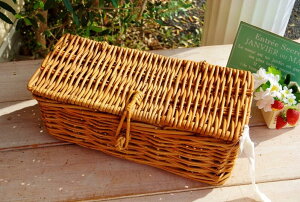 ӂtXoXPbg THE AROROG / AO XgbJ[  g ^ AeB[N gC[ i` k Jg[G CeAG v  AWA  V