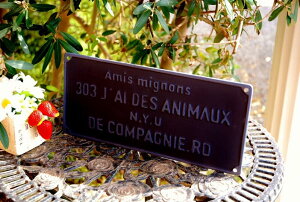 K[fjOG uLTC FV Roj[v[g  g uLŔ TCv[g K[fG Jg[G K[fTC CeAG  Ǐ Ǌ| TINTC