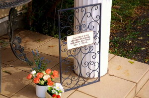 K[fjOG K[fsbN e[ktFX DBL ACA gX 傫 FV g TC Ŕ Jg[G CeA |G  䂤 u   