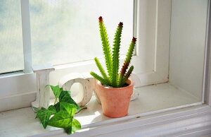 tFCNO[ T{e A IuWF (D) u }XRbg A[gt[ JN^X [O[ CeAO[ i` AJ Jg[ CeAG JN^