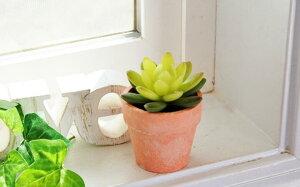 T{e tFCNO[ A IuWF (C) u }XRbg A[gt[ JN^X [ O[ CeAO[@i` AJ Jg[ CeAO[ 