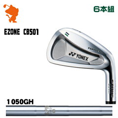 ヨネックス_CB501_フォージド_アイアン_YONEX_CB501_Forged_IRON_NSPRO_1050GH