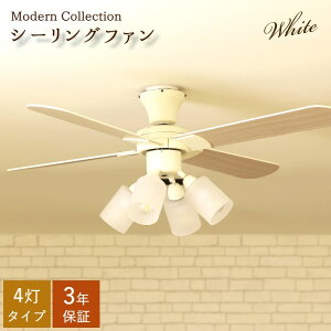 V[Ot@Cg [ 4 ]  Ɩ Vv _ V[Ot@ Ɩ LEDΉ k i`  KXVF[h a122cm rO CeA   ~ Modern Collection JA