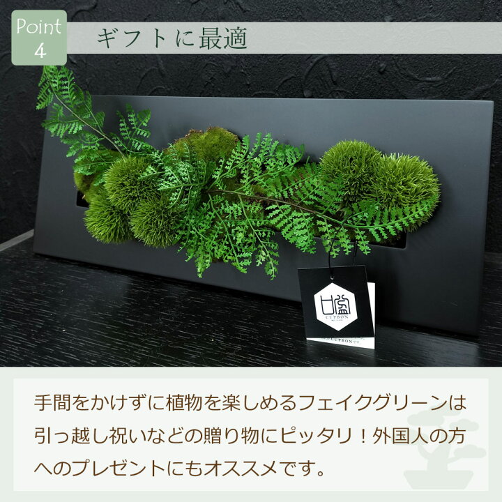 楽天市場】フェイクグリーン ウォールデコ [ マリモ × シノブ  