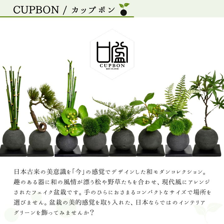 造花盆栽、人工盆栽、永久保存盆栽 （楽天市場】盆栽 五葉松 松 枝垂れ 