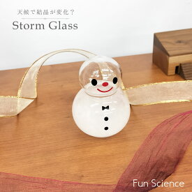 ストームグラス [ ゆきだるま こども ] 雪だるま ガラス 置物 結晶 プレゼント 北欧 インテリア 雑貨 ナチュラル おしゃれ かわいい スノーマン リビング 玄関 癒やし 天気予報 気象計 ウインター デコレーション ファン・サイエンス 茶谷産業 ラッピング可